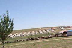 2014年首批优秀员工内蒙古大草原之旅
